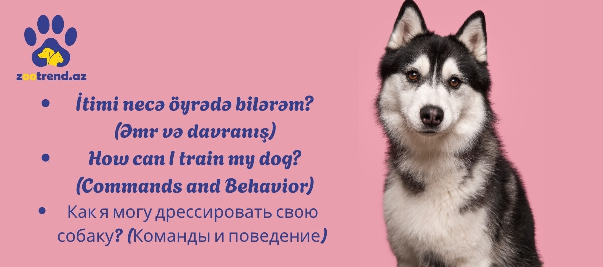 İtimi necə öyrədə bilərəm? (Əmr və davranış)
