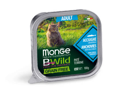 Monge BWILD Cat Grain Free Pâté Terrine Acciughe - MONGE